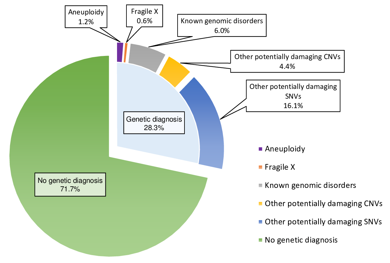 Rare and common genetic variation in autism – ASF Weekly Science Podcasts