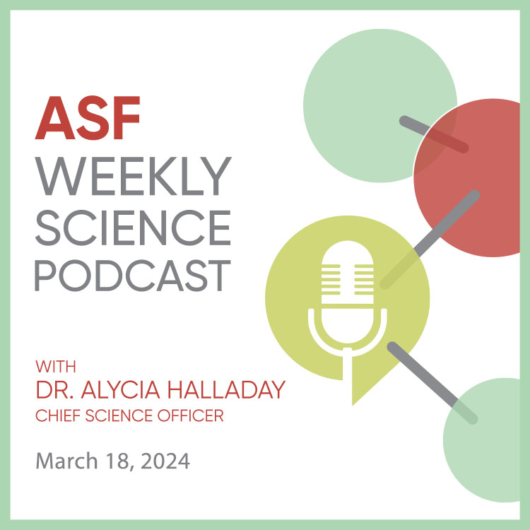 Missed the Meeting on Language in Autism?  Listen to this podcast